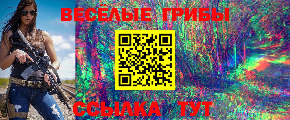 Галлюциногенные грибы MAGIC MUSHROOMS  Вход с VPN  купить наркоту  Озёры 