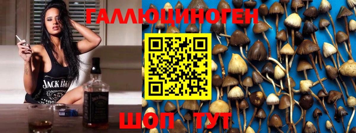 Галлюциногенные грибы прущие грибы Озёры