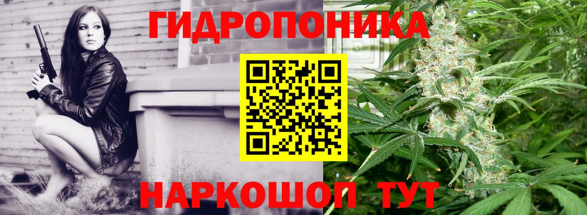 Марихуана SATIVA & INDICA Озёры